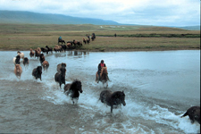 Iceland-Northern Tours-Diamond Circle Ride